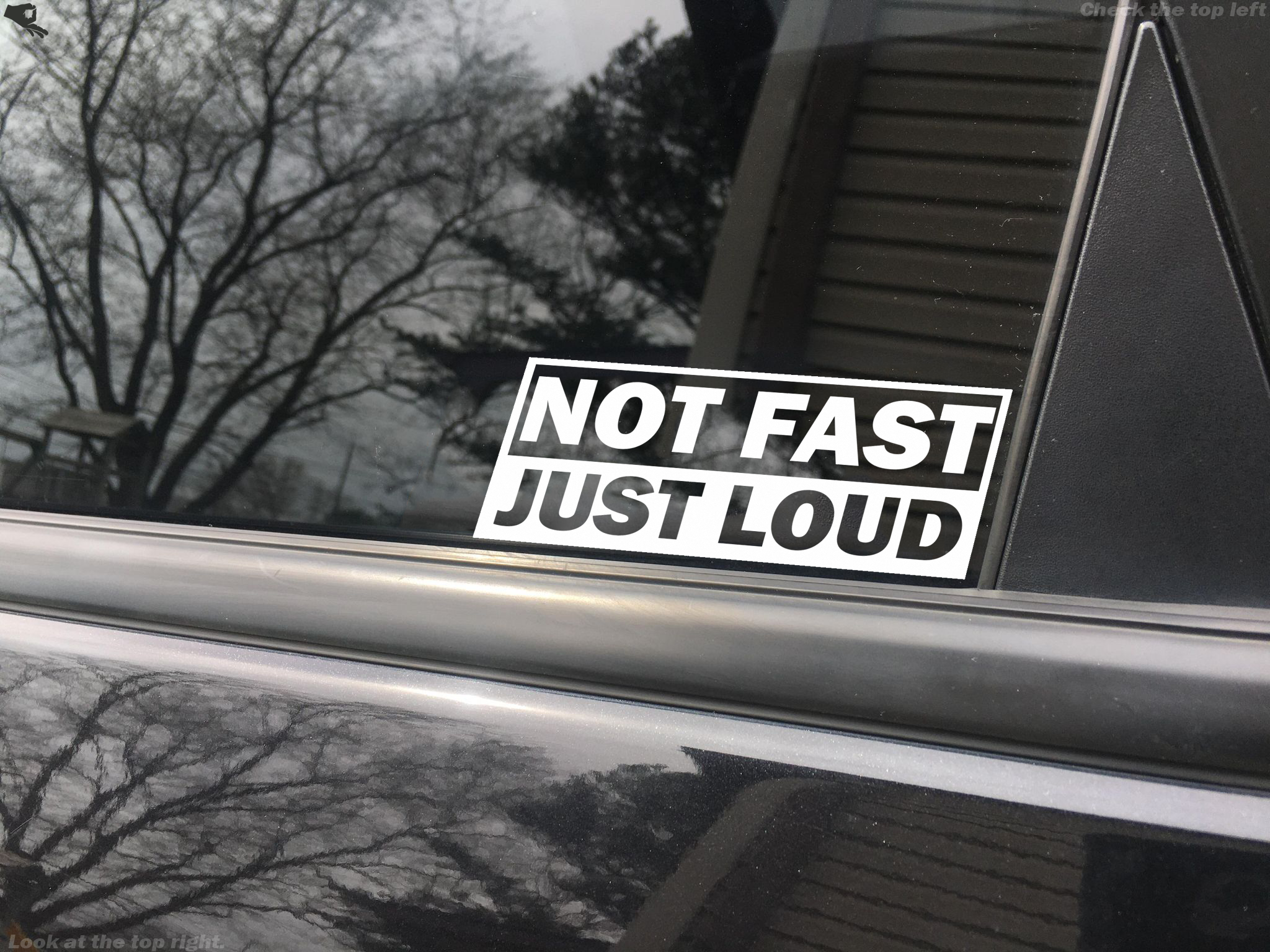 not fast just loud decal