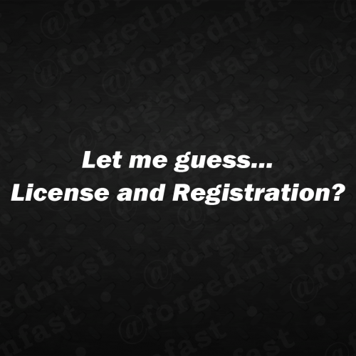let me guess license and registration decal