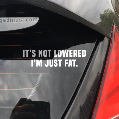 its not lowered i'm just fat