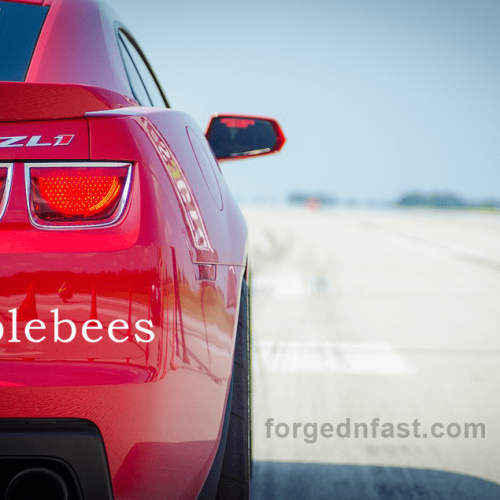 gapplebees car decal
