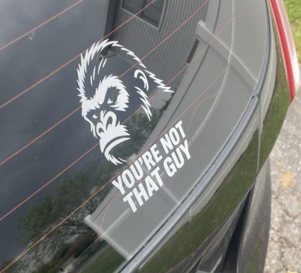 Gorilla vs 100 men you’re not that guy, car decal, bumper sticker, truck decal, funny car decal