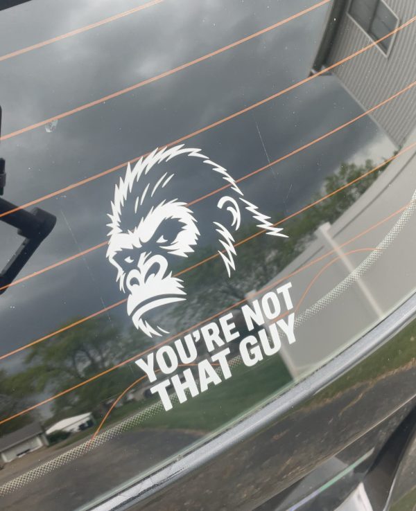 Gorilla vs 100 men you’re not that guy, car decal, bumper sticker, truck decal, funny car decal - Image 3