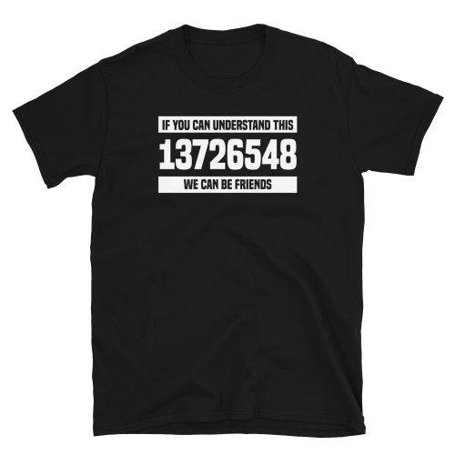 If you can understand this 13726548 we can be friends Car Tshirt for Men, Car Guy Gift Tee, Car Enthusiast, Petrolhead Gift, Car Gifts for Men