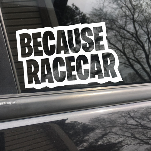 Because Racecar, car decal, bumper sticker, truck decal, funny car decal