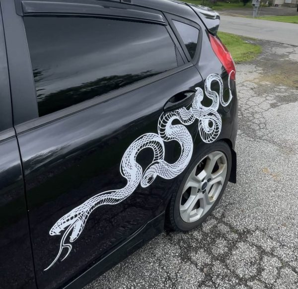 Snake, Viper, Serpent, Huge Car Decal, JDM, Cool Car Decal, Funny Decal, Artistic - Image 7
