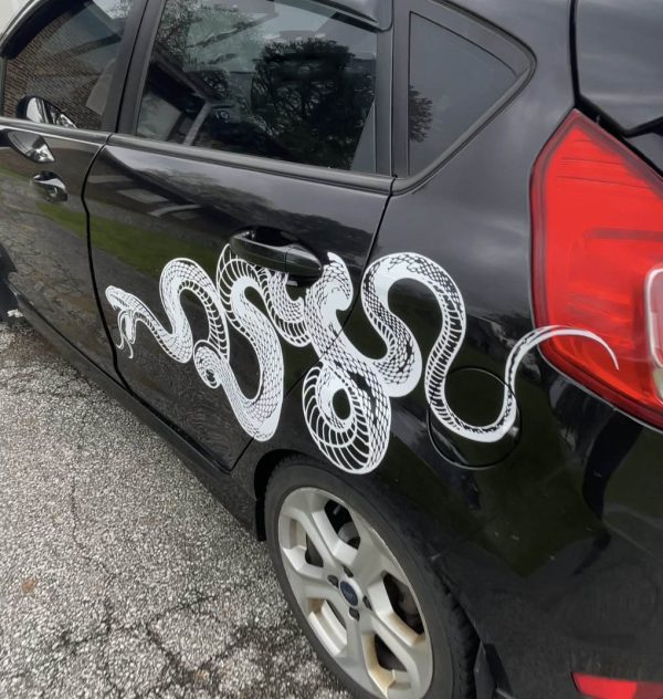 Snake, Viper, Serpent, Huge Car Decal, JDM, Cool Car Decal, Funny Decal, Artistic - Image 6