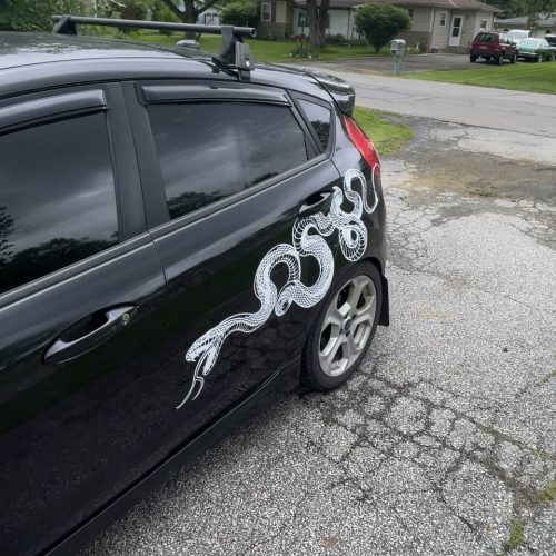 Snake, Viper, Serpent, Huge Car Decal, JDM, Cool Car Decal, Funny Decal, Artistic