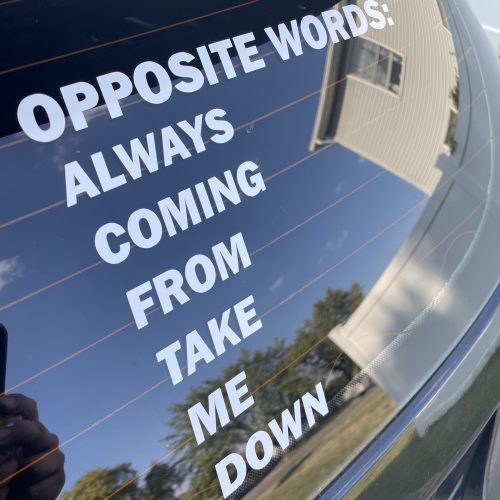 Opposite Words Hilarious Funny Joke Car Decal