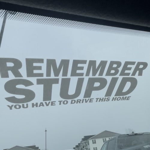 Remember Stupid You Have To Drive This Home funny car sticker decal
