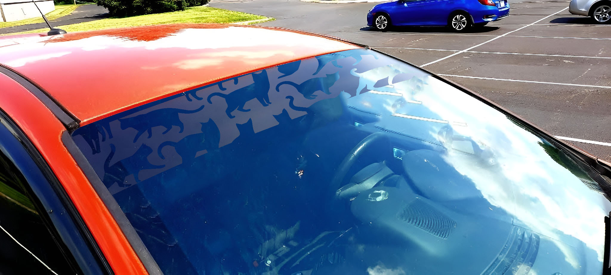Cats Window Sunstrip — Cat Windshield Sun Strip Decal | Die Cut Oracal 651 Vinyl - Image 4