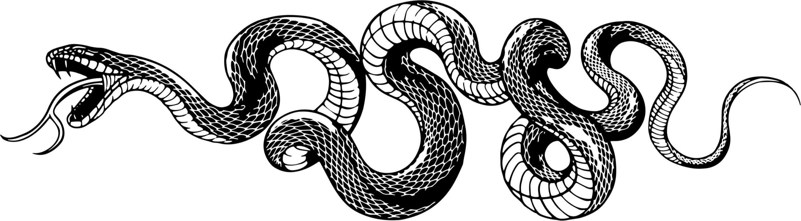 Snake, Viper, Serpent, Huge Car Decal, JDM, Cool Car Decal, Funny Decal, Artistic - Image 8